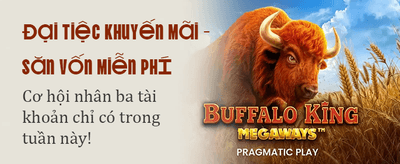 Ưu đãi đặc biệt cho VIP banner